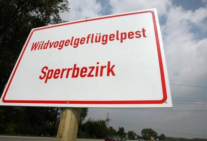 
		Virus in Baden-Württemberg angekommen:  Landratsamt warnt vor Geflügelpest
		