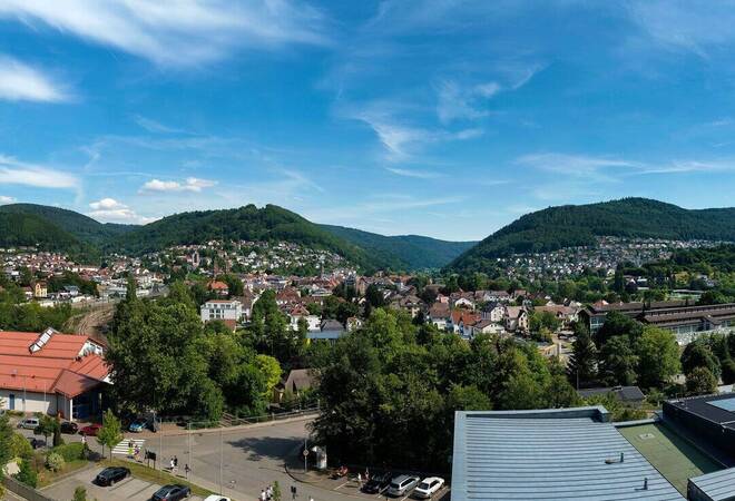 
		Eberbach:  Zögerlicher Beschluss für Klimaneutralität bis 2035
		