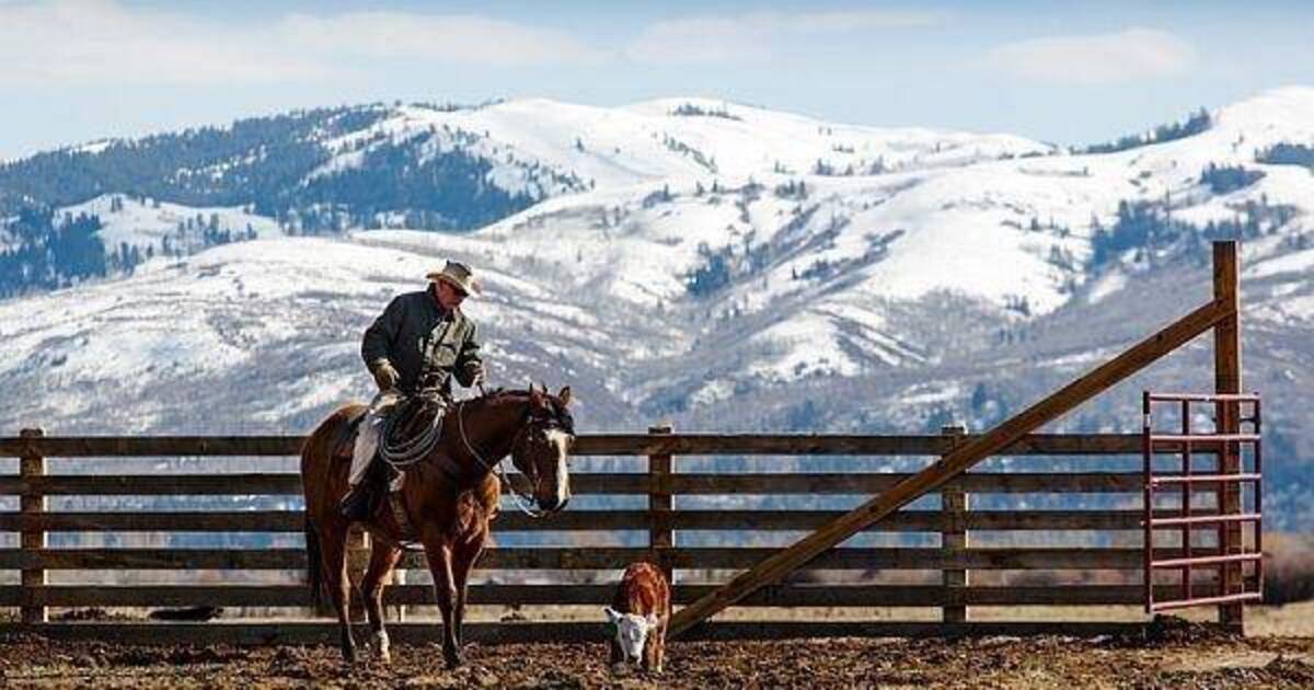 Ranch hand ass