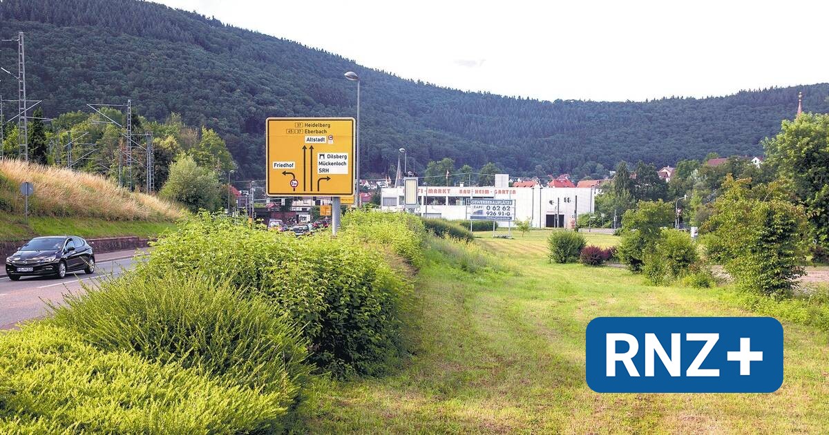 Neckargemünd Dem Edeka Markt steht nichts mehr im Weg Rhein Neckar