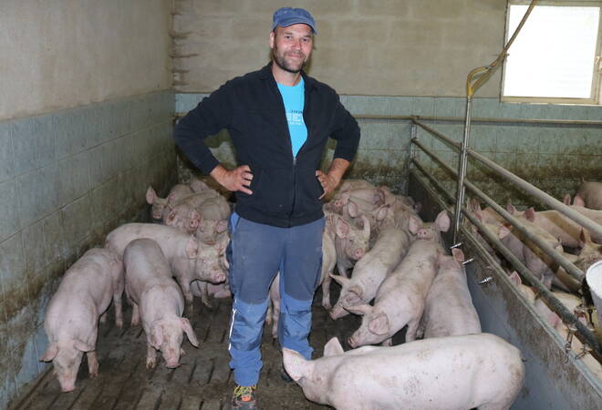 
		Fleischfabrik-Skandal:  So wachsen 2000 Schweine vier Monate lang auf
		