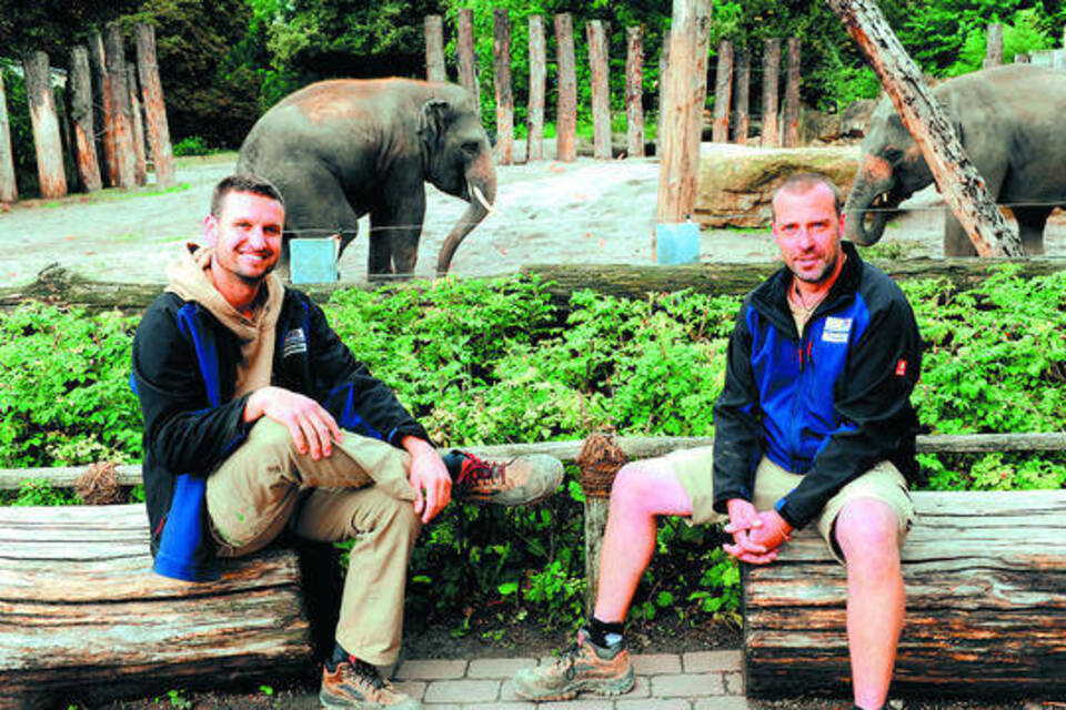 Beste Freunde Durch Dick Häuter Und Dünn Heidelberg Nachrichten