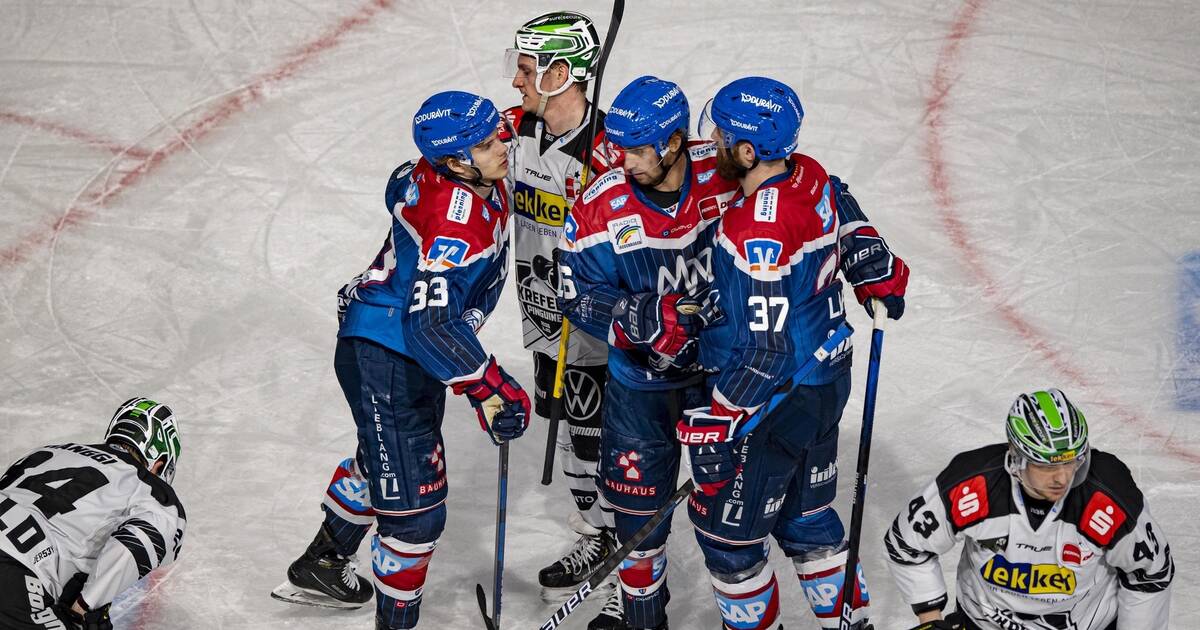 Adler Mannheim versus Krefeld: Successful Stewart debut in a 6-1 win – Adler