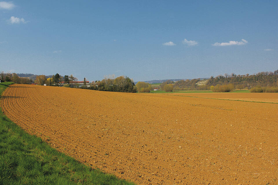 Bad Rappenau: Der Heinsheimer "Neckarblick" Nimmt Auf Dem Papier Formen ...