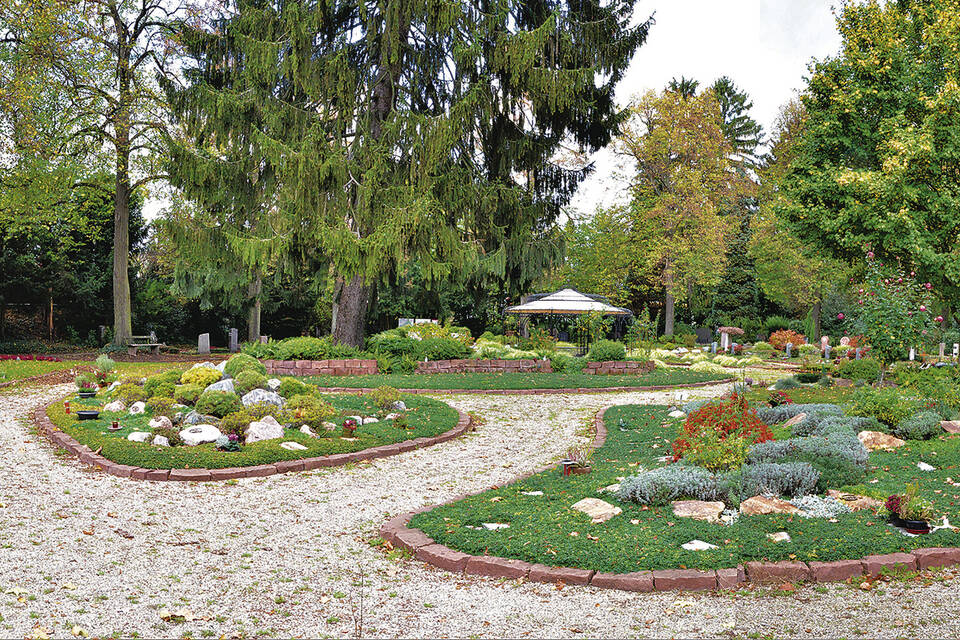 Heidelberg Wer Pflegt Mal Mein Grab Auf Dem Bergfriedhof Heidelberg