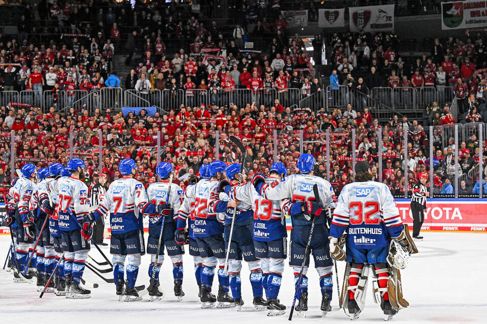 Adler Mannheim: Was Das Momentum Ausmacht - Sport Aus Der Region ...