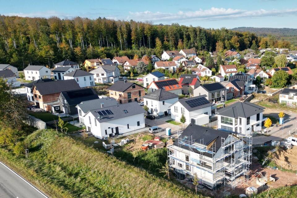 Streit Um Neubaugebiet: BUND-Naturschützer Drohen Gaiberg Mit Erneuter ...