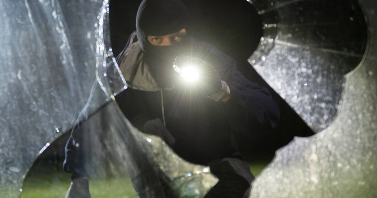 Schwetzingen Einbrecher warf Fenster ein