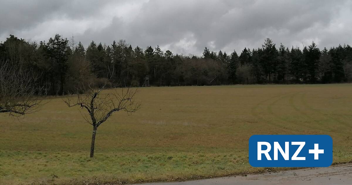 Ablehnung einer Solaranlage in Höpfingen und Beitritt zur MVZ-Genossenschaft