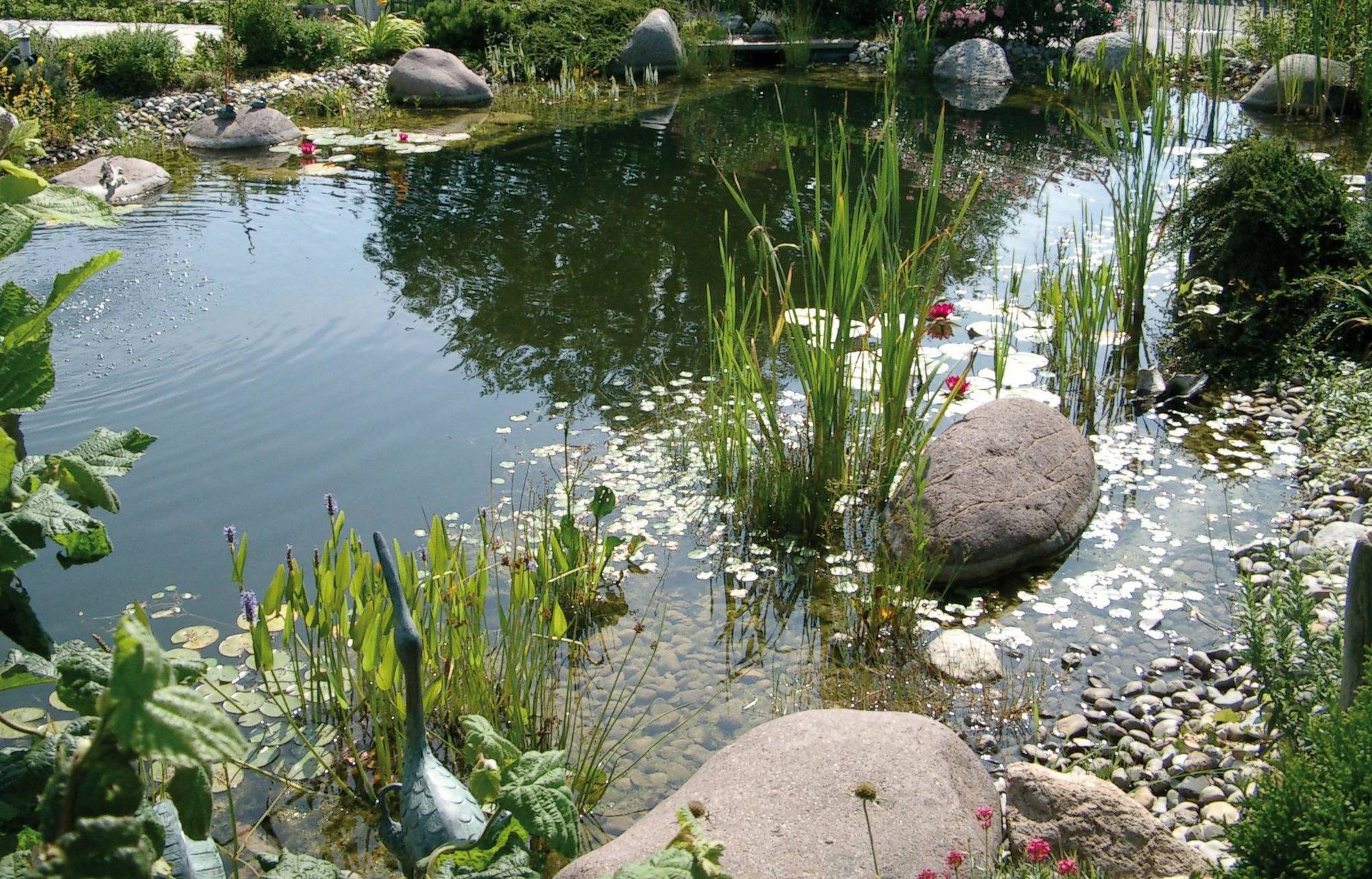 Gartenteich mit Leitungswasser auffüllen Phosphatgehalt