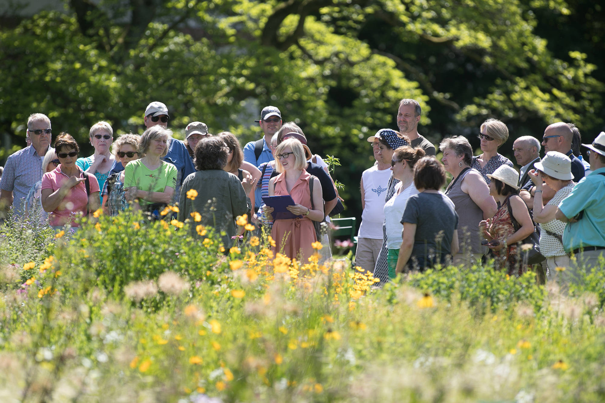 Tag Der Offenen Tur Beim Weinheimer Hermannshof Lustiger Lauch