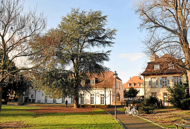 2,5 Meter Abstand beim Picknick: Die Heidelberger Parks ...