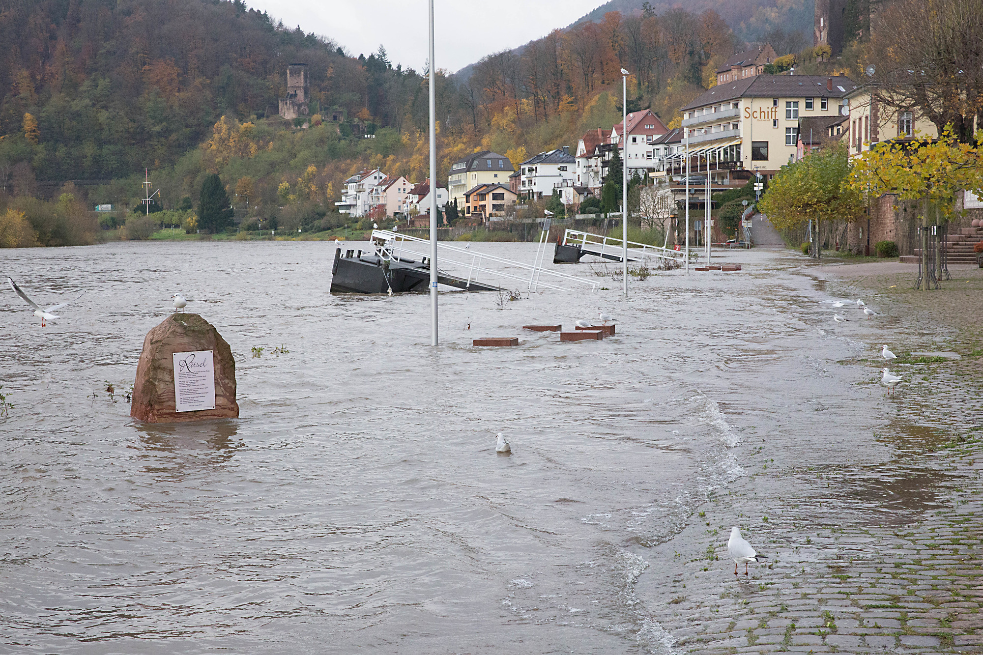 Hochwasserschutz am Neckar: Flutsicheres Bauen und "blau ...