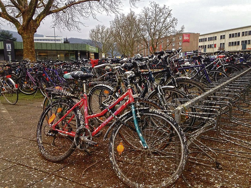 fahrrad heidelberg