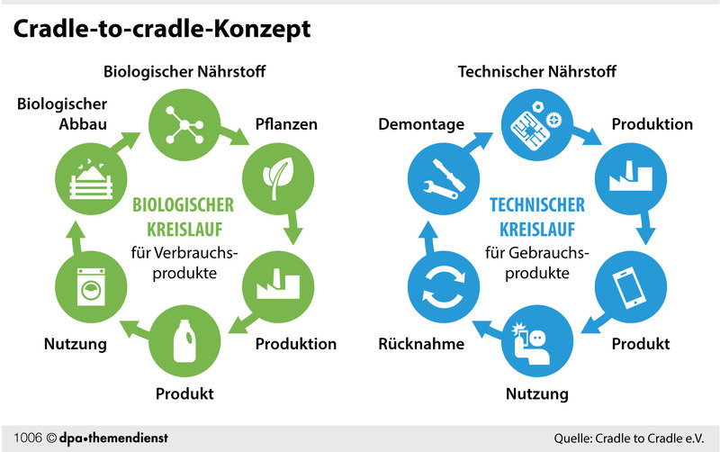 Cradle как запустить